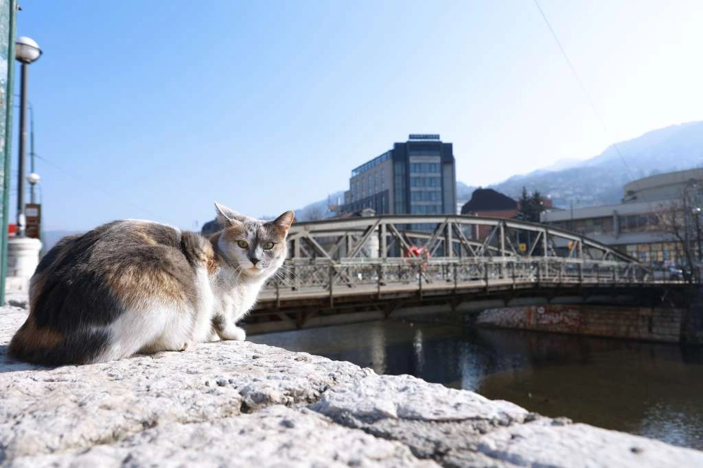 FHMZBiH: Narednih dana sunčano i umjereno oblačno, u utorak se očekuju padavine